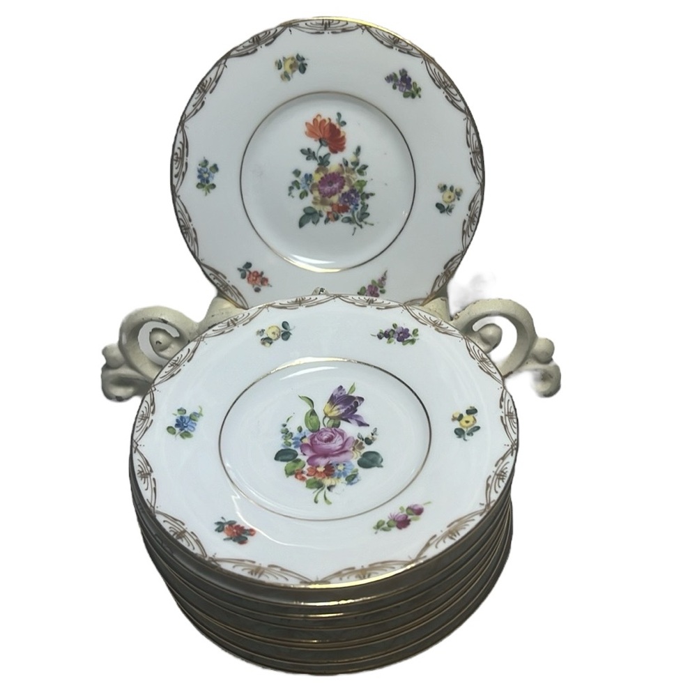 Vintage saucer set of 9 floral plates Dresden